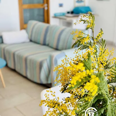 Le Turquoise Casa vacanze Narbonne-Plage